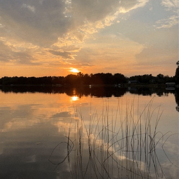 Meet your Posher, Jess - Picture 3 of 3